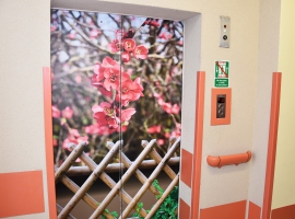 Dom Pomocy Społecznej - winda