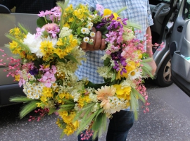 "Świętojanki 2017" Chlebno